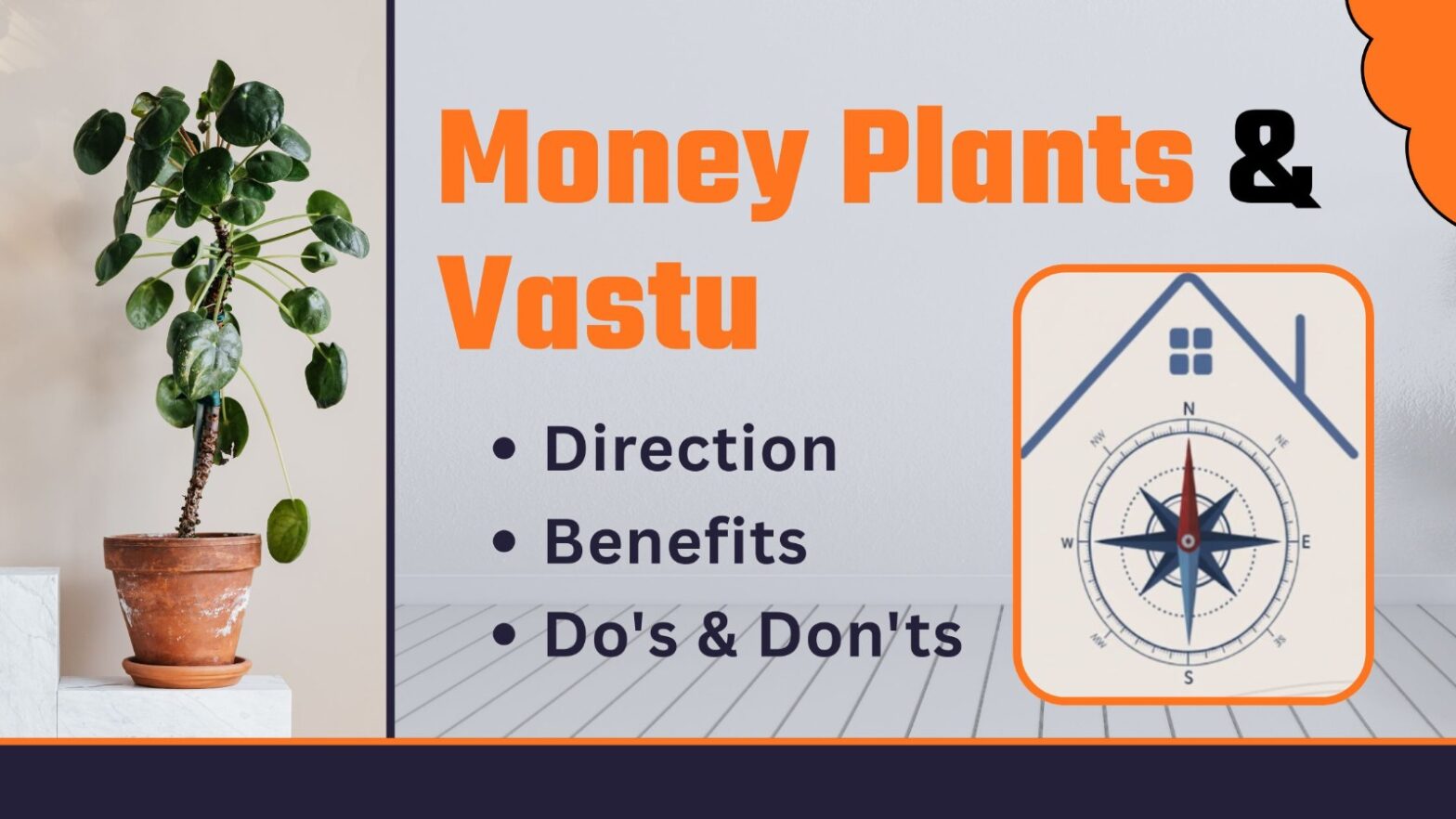 Money Plants & Vastu