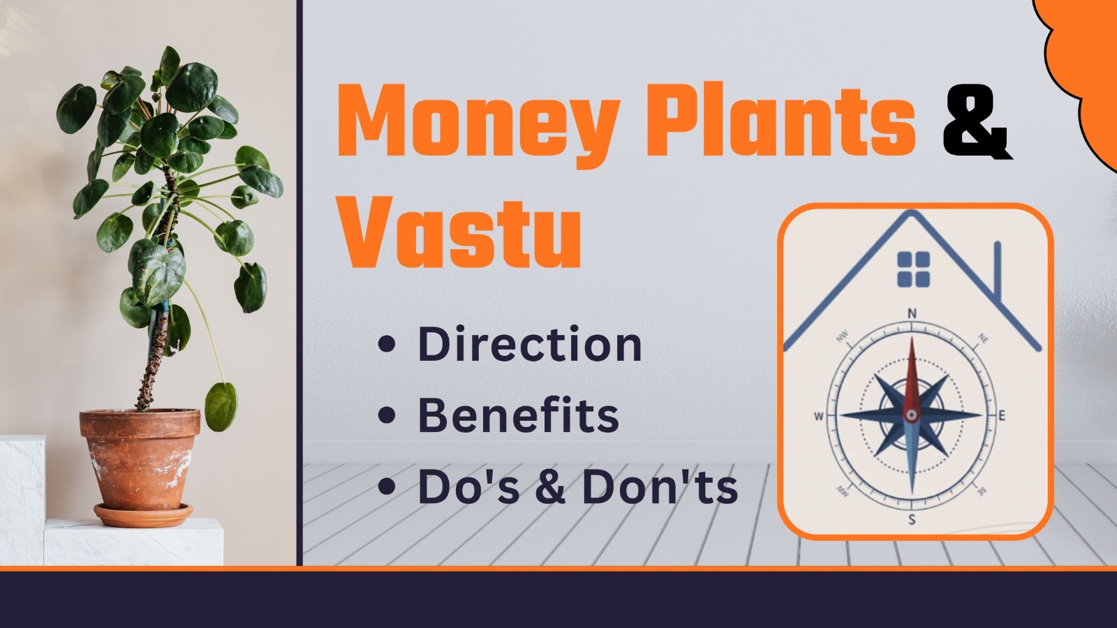 Money Plants & Vastu: Direction, Benefits, Do’s & Don’ts